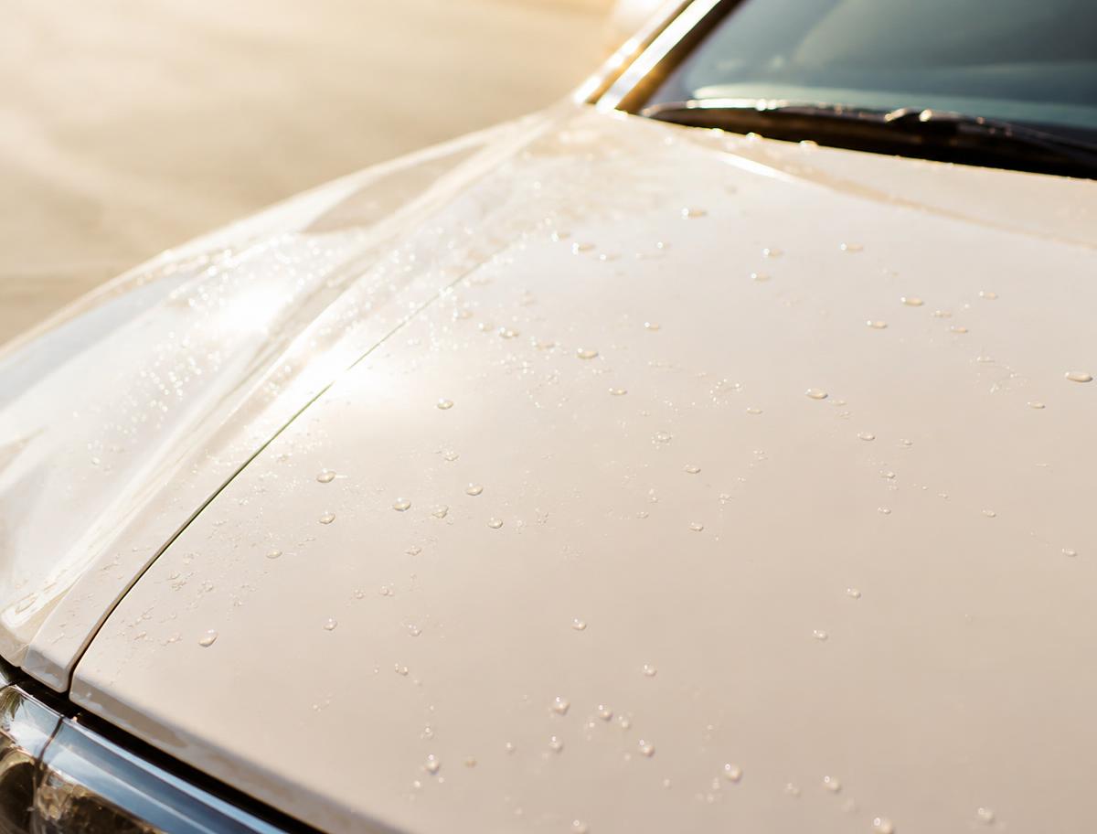 Water beading on a freshly washed car hood
